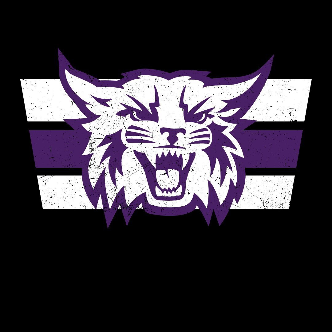 Weber State Grunge Cat Tee - Weber State - Walk-On Apparel