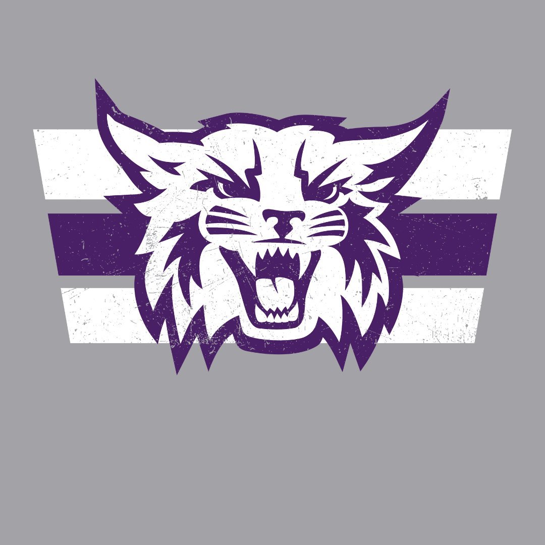 Weber State Grunge Cat Tee - Weber State - Walk-On Apparel