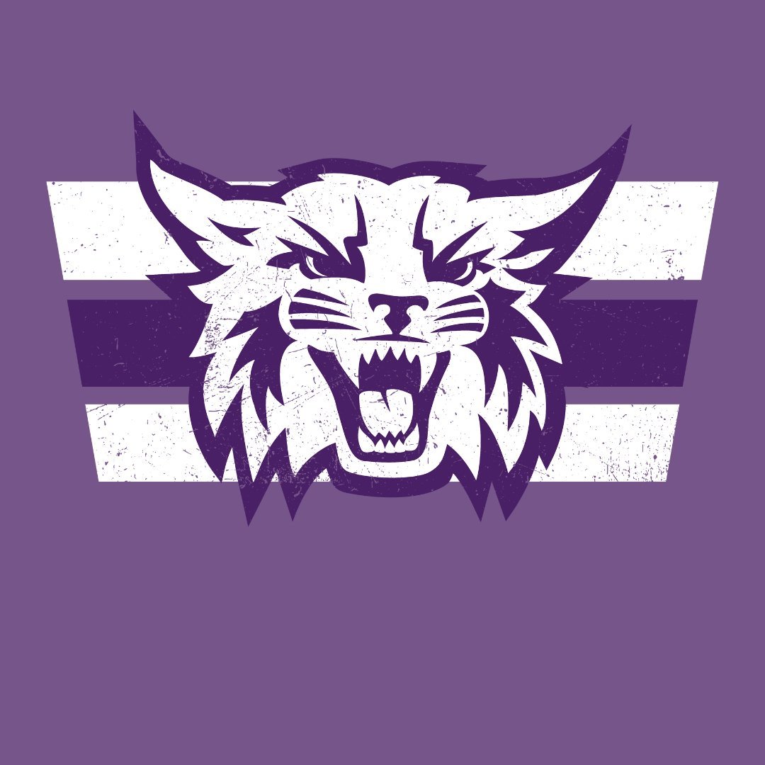 Weber State Grunge Cat Tee - Weber State - Walk-On Apparel